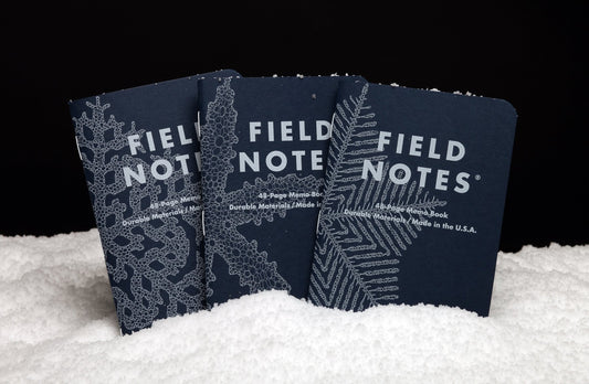 Field Notes Snowy Evening 2020