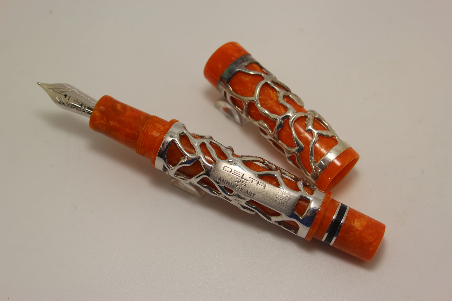 Delta 25th Anniversary sterling silver fountain pen