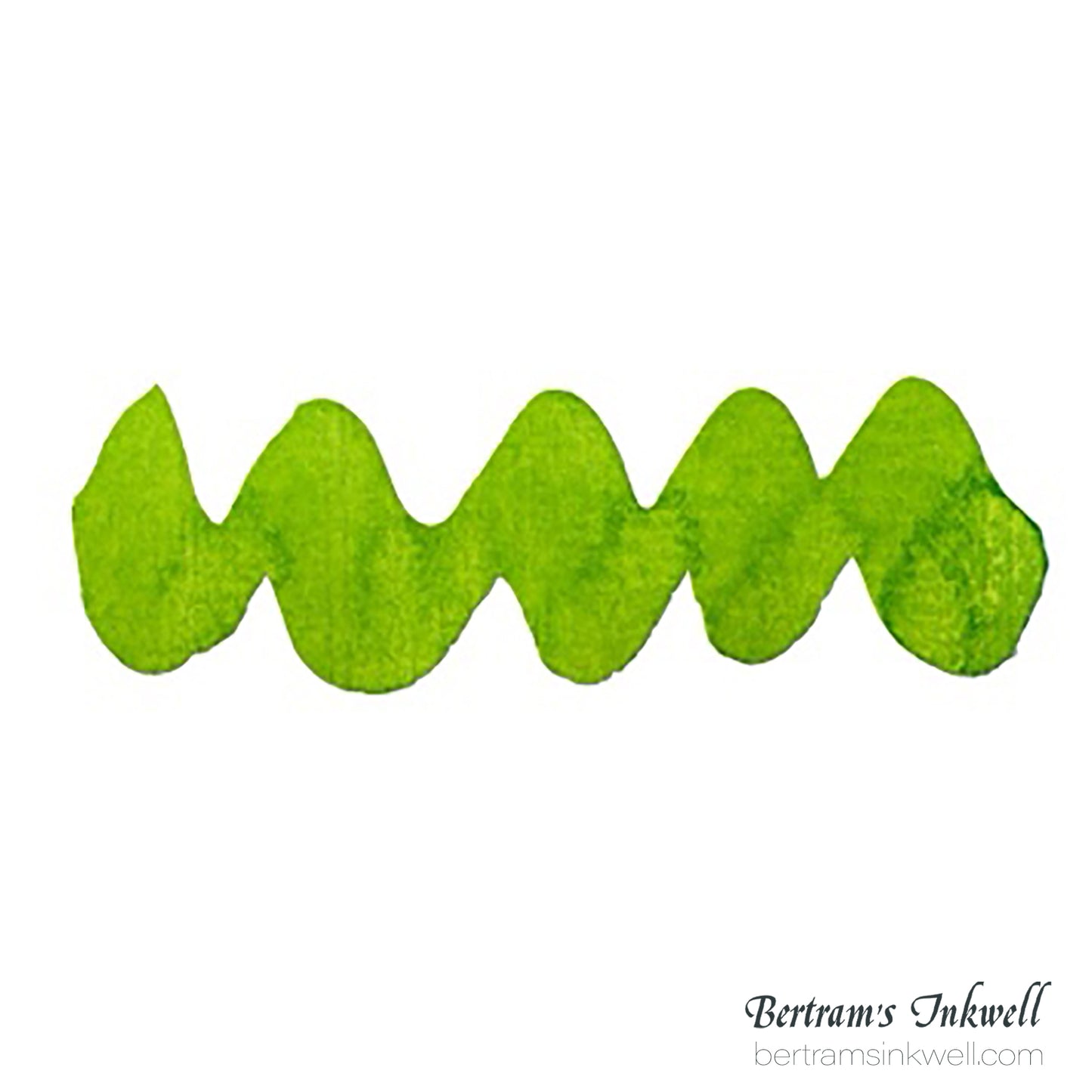 Diamine Forever Permanent Pigment Bottled Ink Hyper Green 50ml