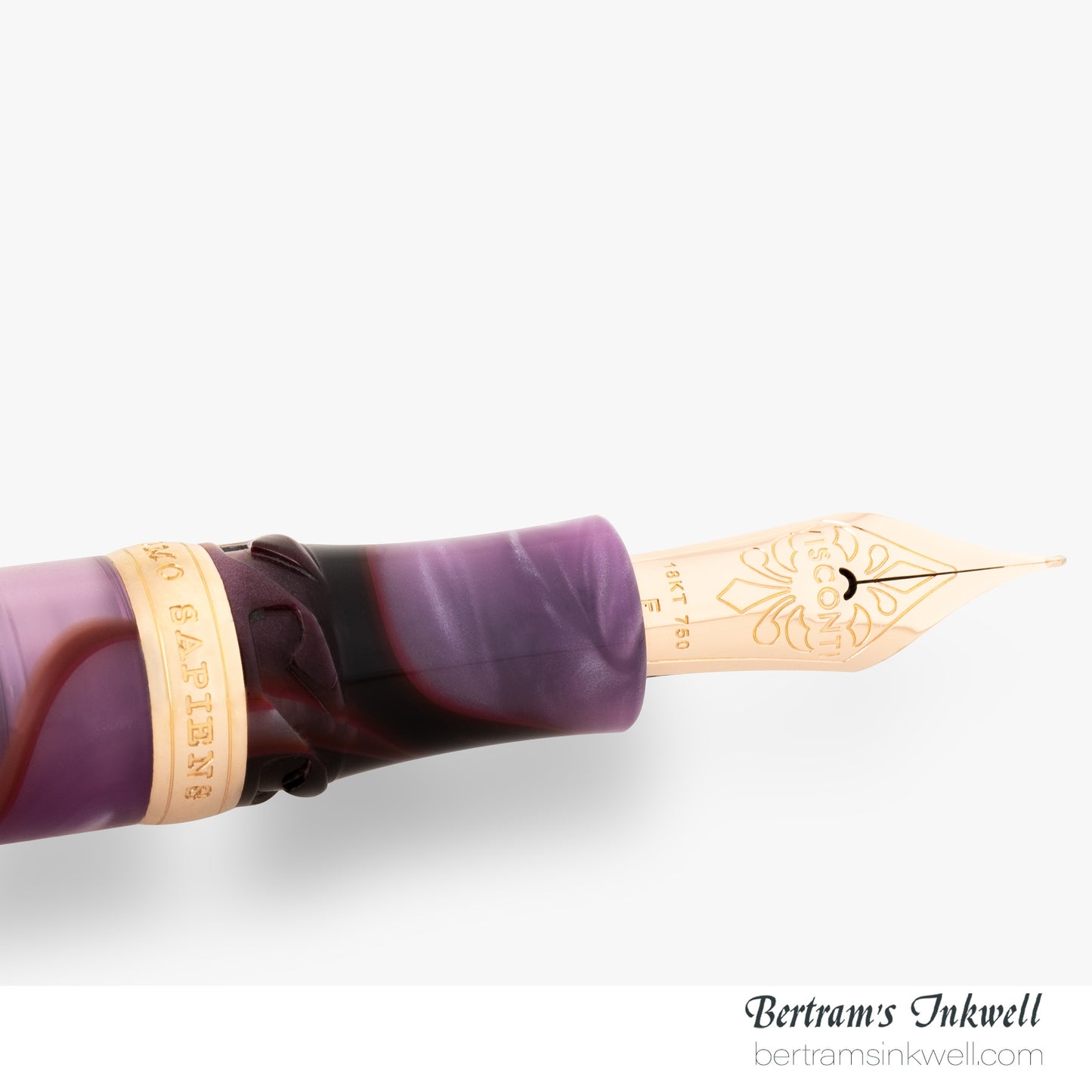 Visconti Homo Sapiens Iris Garden Limited Edition Fountain Pen