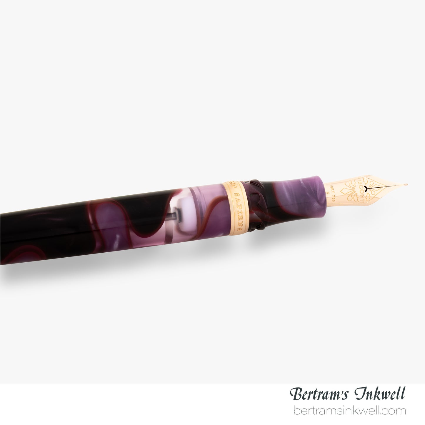 Visconti Homo Sapiens Iris Garden Limited Edition Fountain Pen