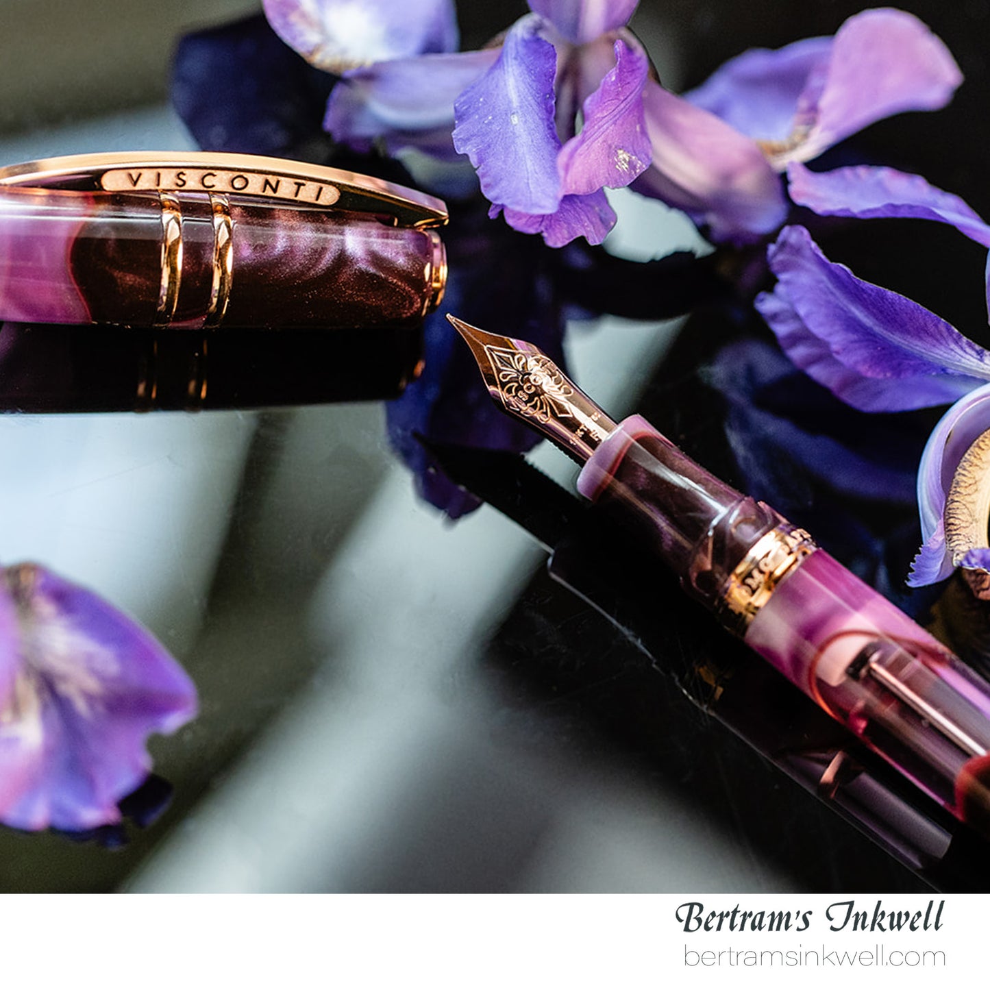 Visconti Homo Sapiens Iris Garden Limited Edition Fountain Pen