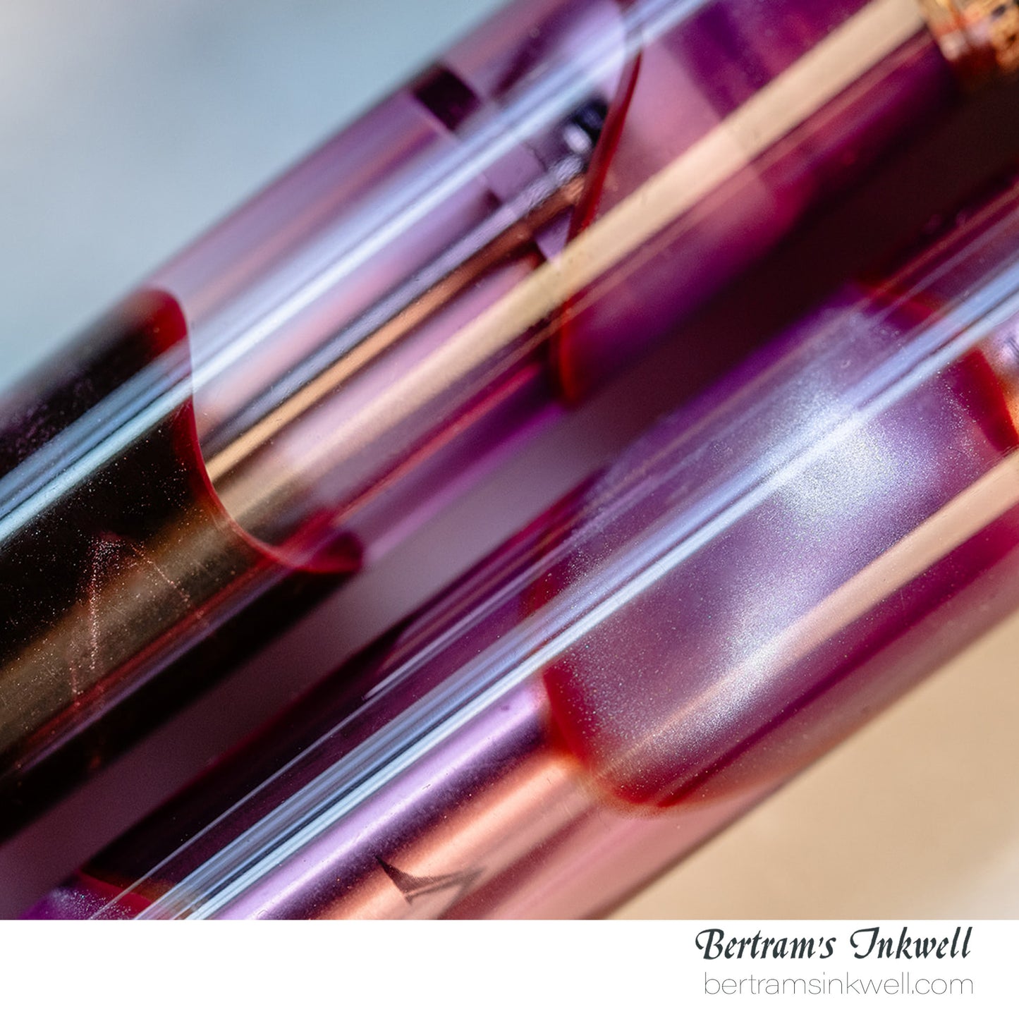 Visconti Homo Sapiens Iris Garden Limited Edition Fountain Pen