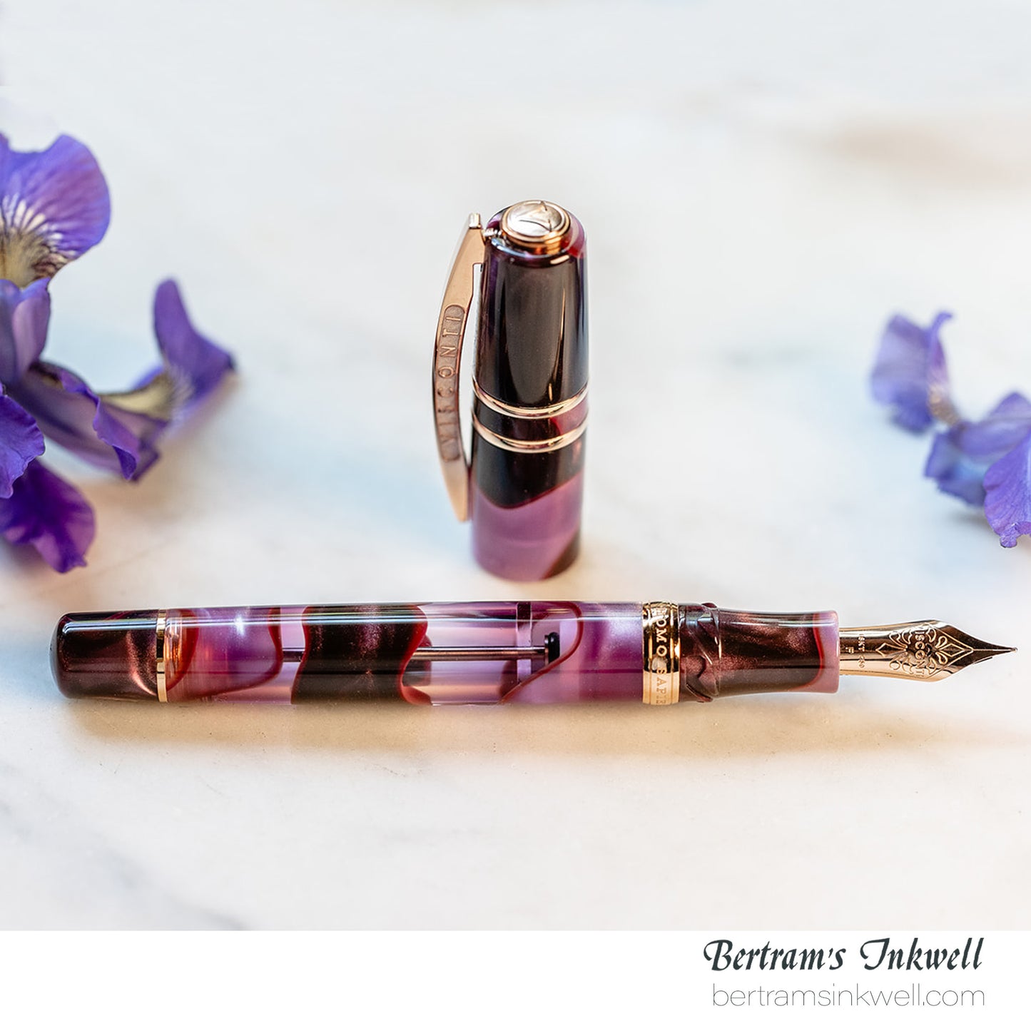 Visconti Homo Sapiens Iris Garden Limited Edition Fountain Pen