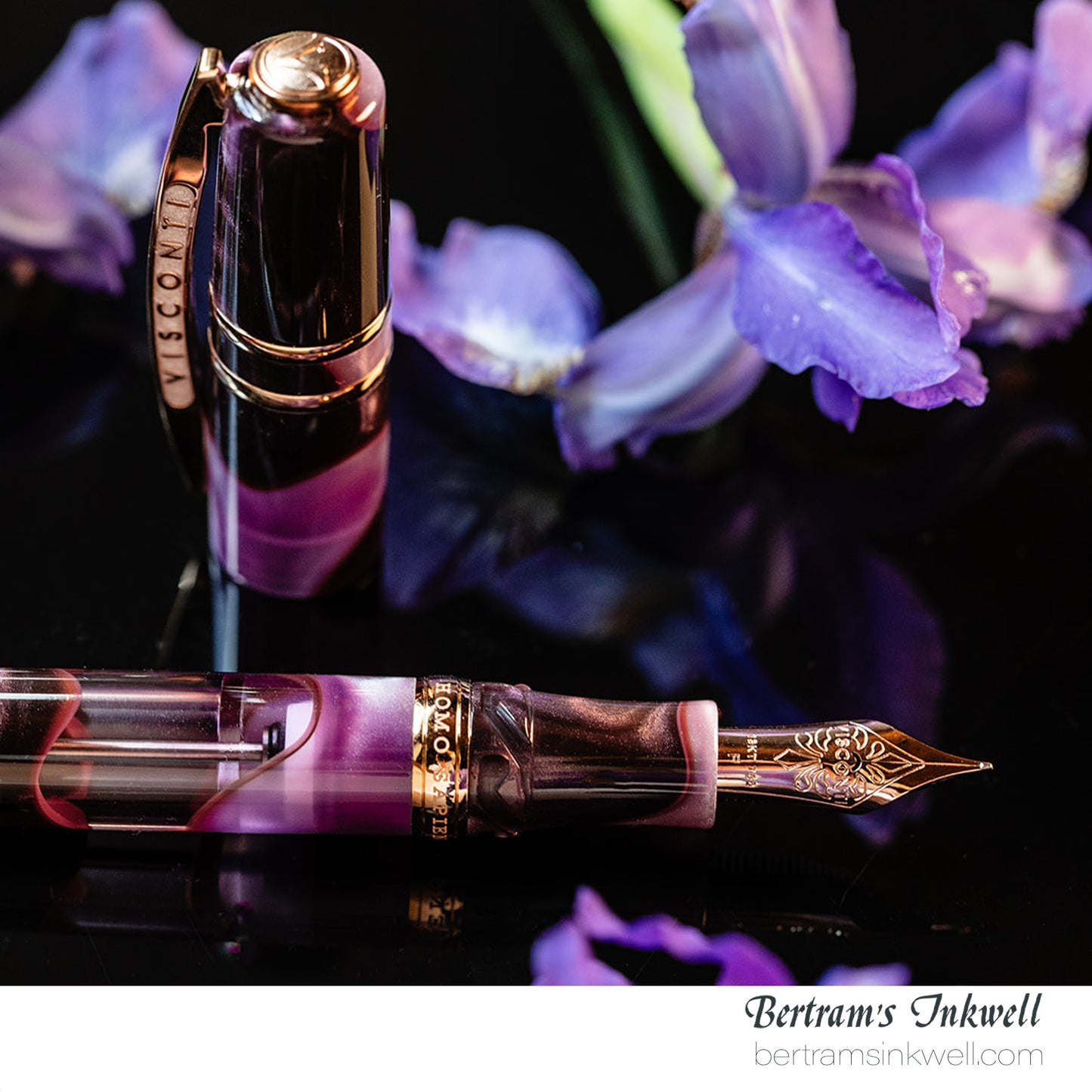 Visconti Homo Sapiens Iris Garden Limited Edition Fountain Pen