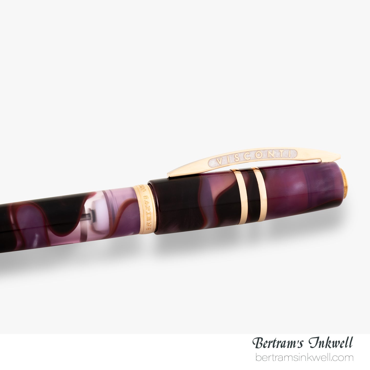 Visconti Homo Sapiens Iris Garden Limited Edition Fountain Pen