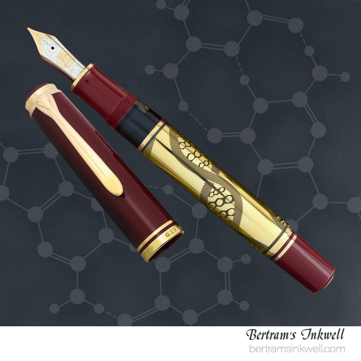Pelikan Expo 2000 Humankind Special Edition Fountain Pen, 1998