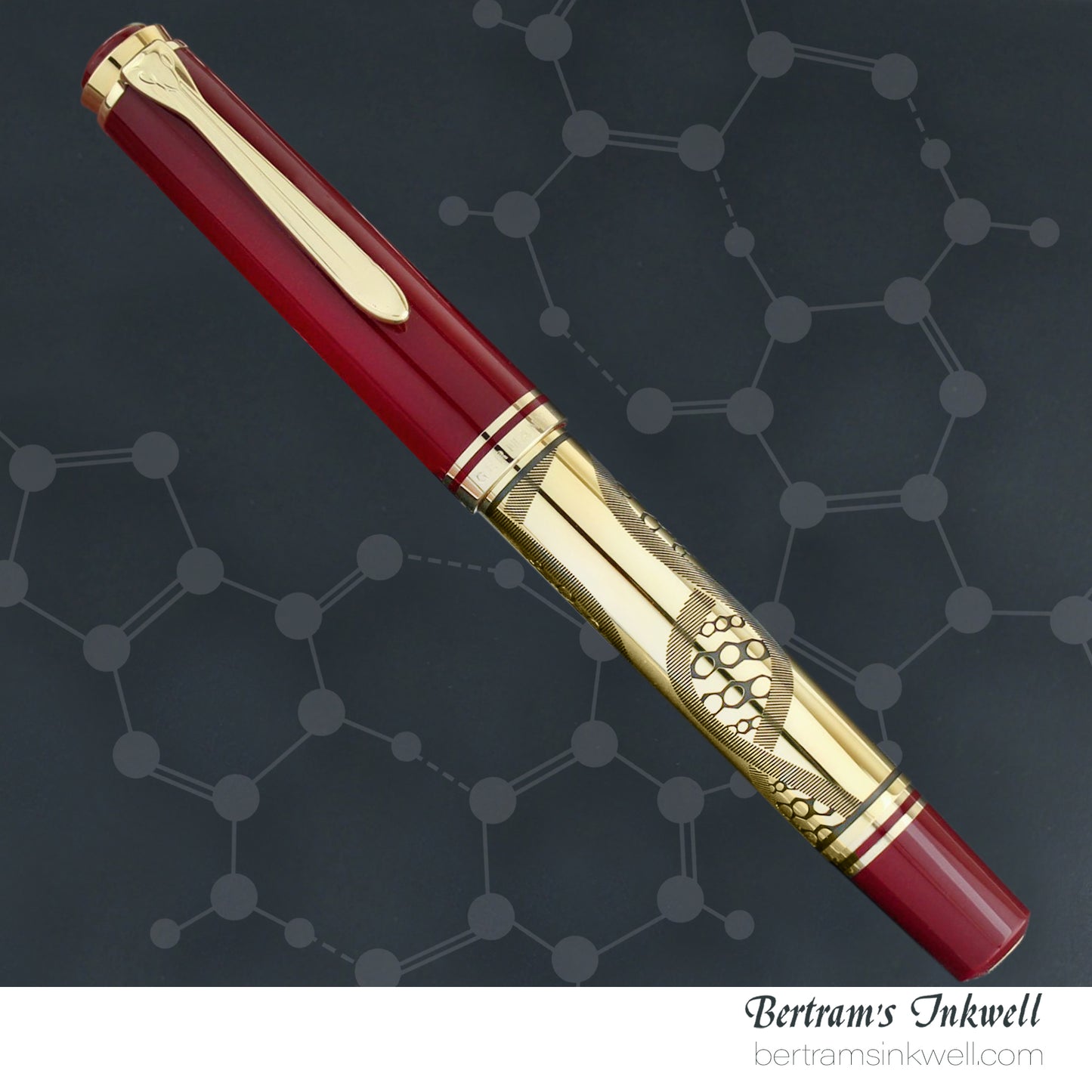 Pelikan Expo 2000 Humankind Special Edition Fountain Pen, 1998