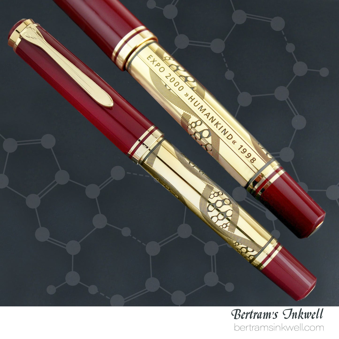 Pelikan Expo 2000 Humankind Special Edition Fountain Pen, 1998