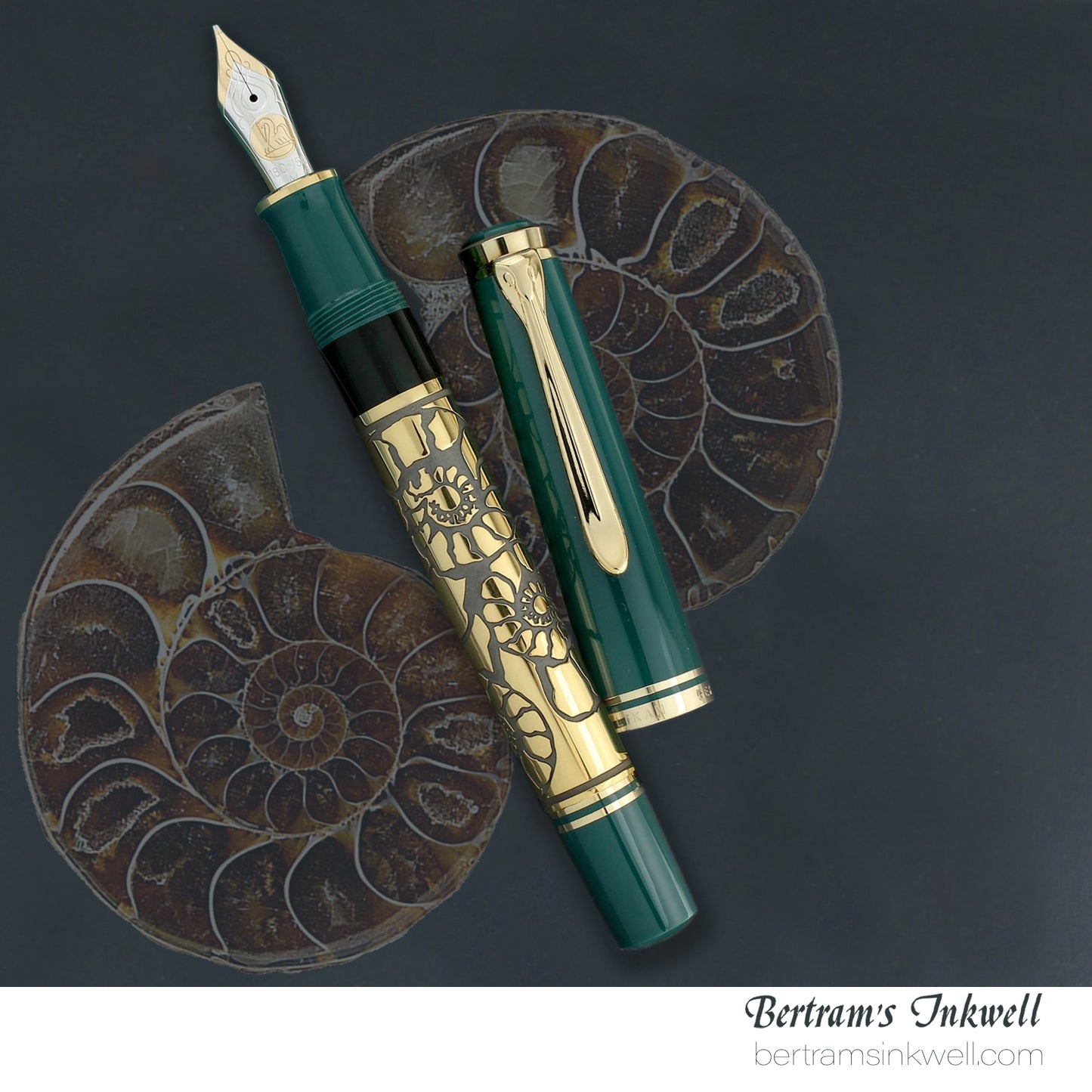 Pelikan Expo 2000 Nature Special Edition Fountain Pen, 1999