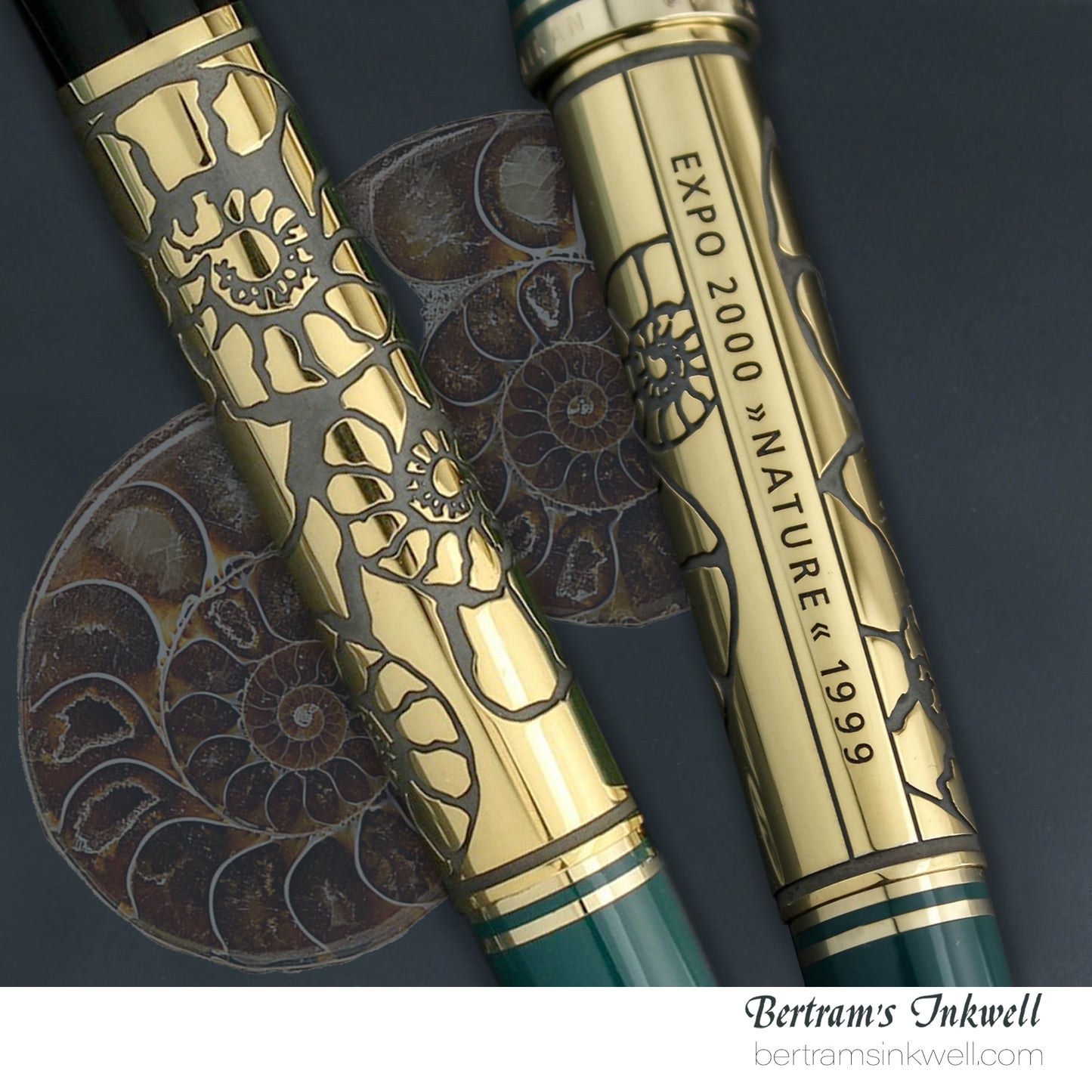 Pelikan Expo 2000 Nature Special Edition Fountain Pen, 1999