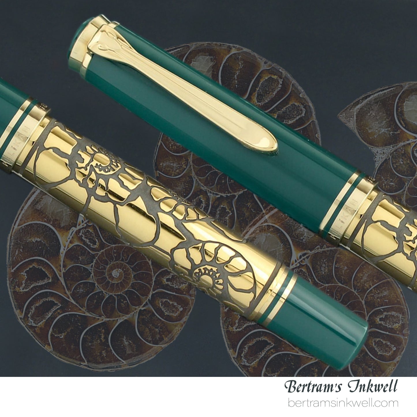 Pelikan Expo 2000 Nature Special Edition Fountain Pen, 1999