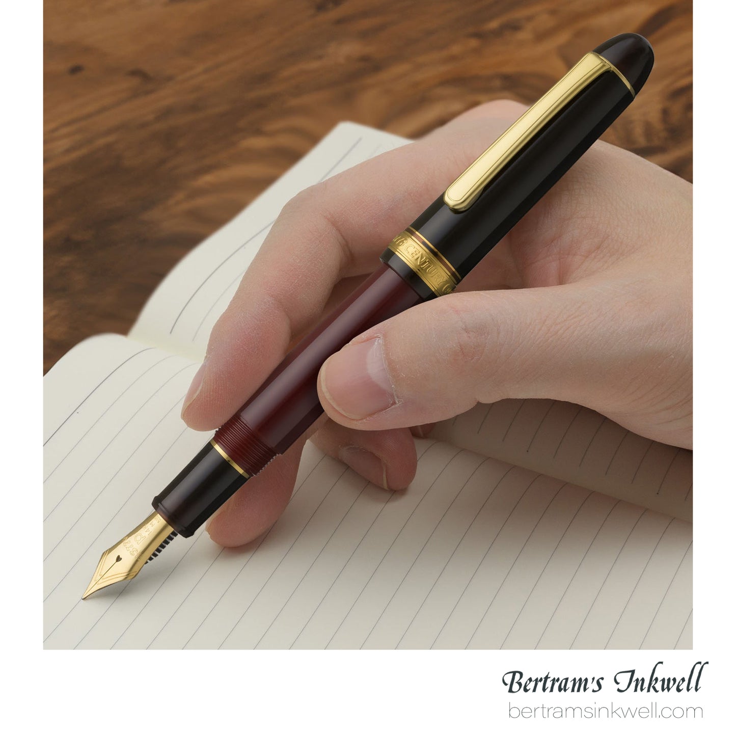 Platinum #3776 Century Coffee Jelly Fountain Pen - Limited Edition
