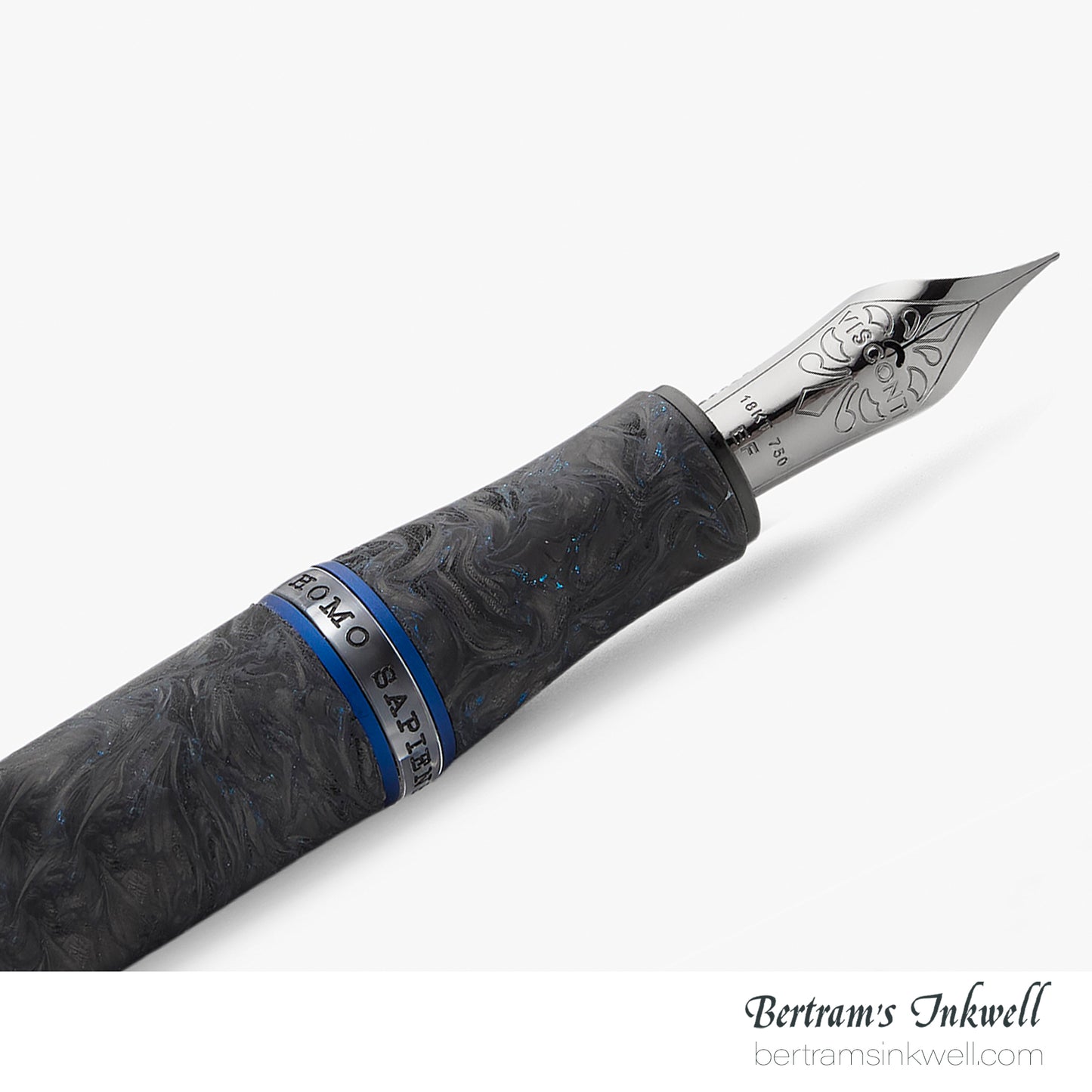 Visconti Homo Sapiens Homo Sapiens Carbon Abyssus Limited Edition Fountain Pen