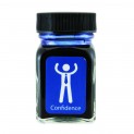 Monteverde Emotions Bottled Ink Confidence