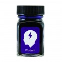Monteverde Emotions Bottled Ink Wisdom