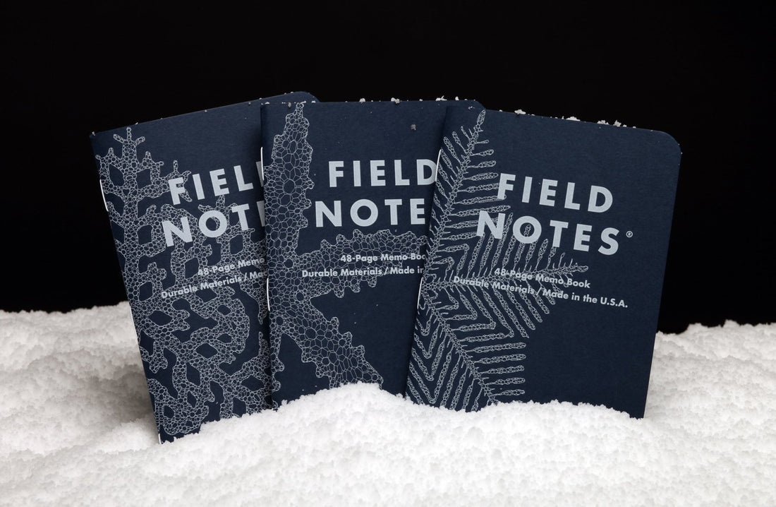 Field Notes Snowy Evening 2020