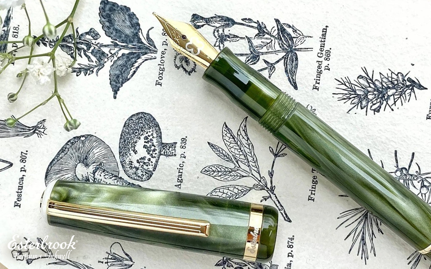 Esterbrook JR Pocket Palm Green