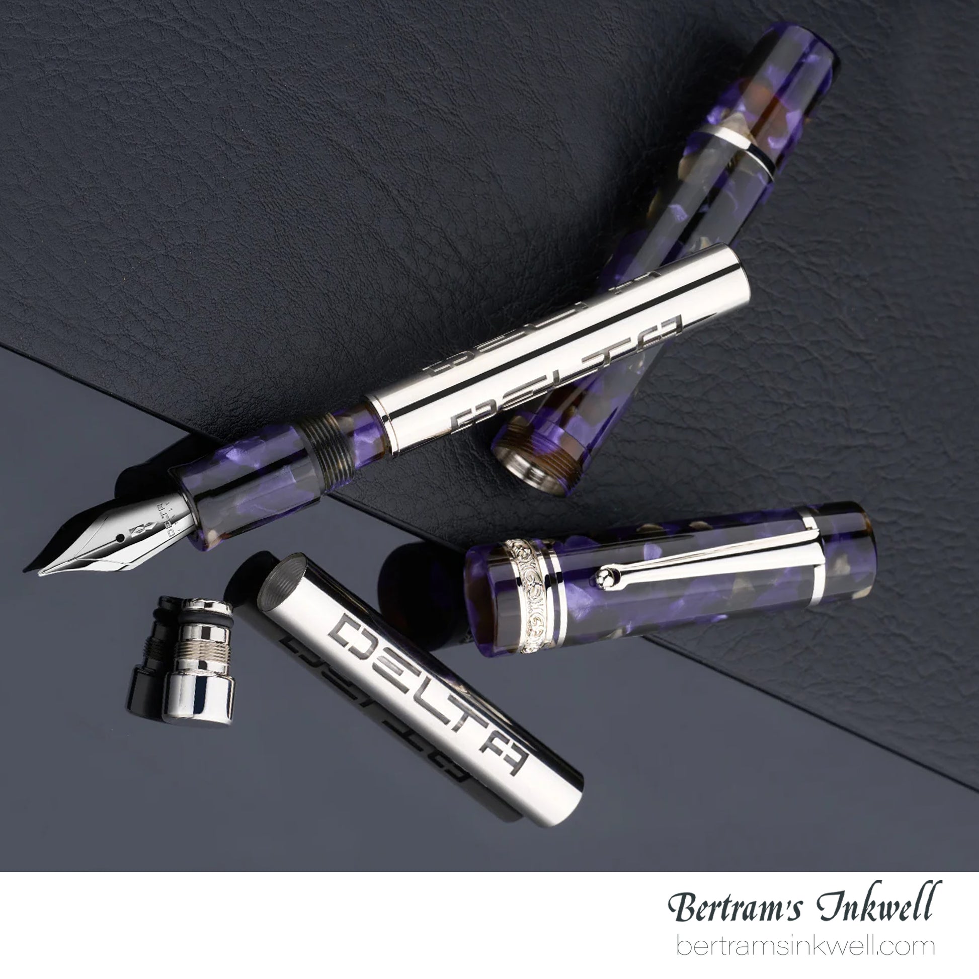 Delta Reservoir Fountain Pen DE66425