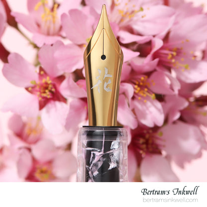 Esterbrook x Bungubox Estie Kachofugetsu "Flower"  Fountain Pen