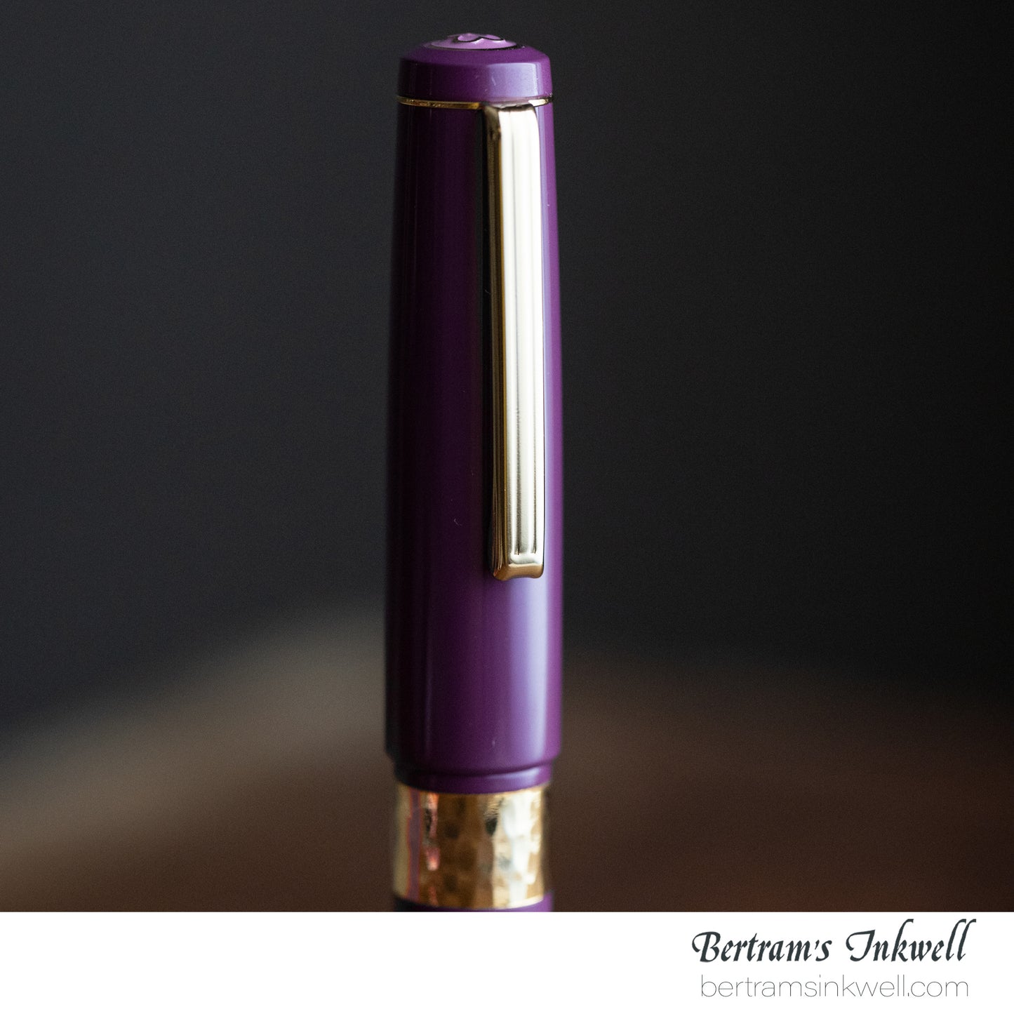 Esterbrook Model J Ebonite Blackberry Fountain Pen