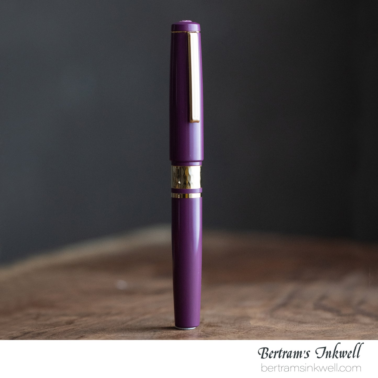 Esterbrook Model J Ebonite Blackberry Fountain Pen
