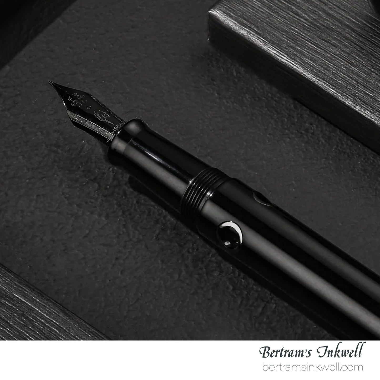 Nahvalur Nautilus Cephalopod Black Fountain Pen