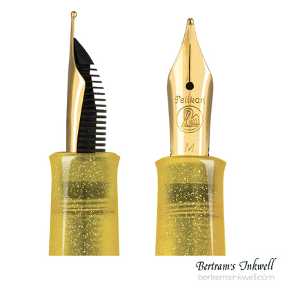 Pelikan Classic M200 Pyrite Special Edition Fountain Pen
