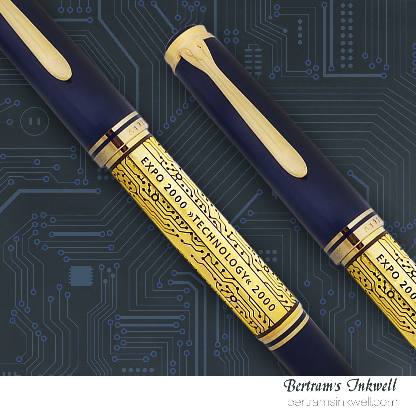 Pelikan Expo 2000 Technology Special Edition Fountain Pen, 2000