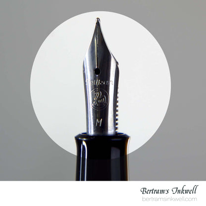 Pelikan M205 Black Fountain Pen With Leather Pen Case