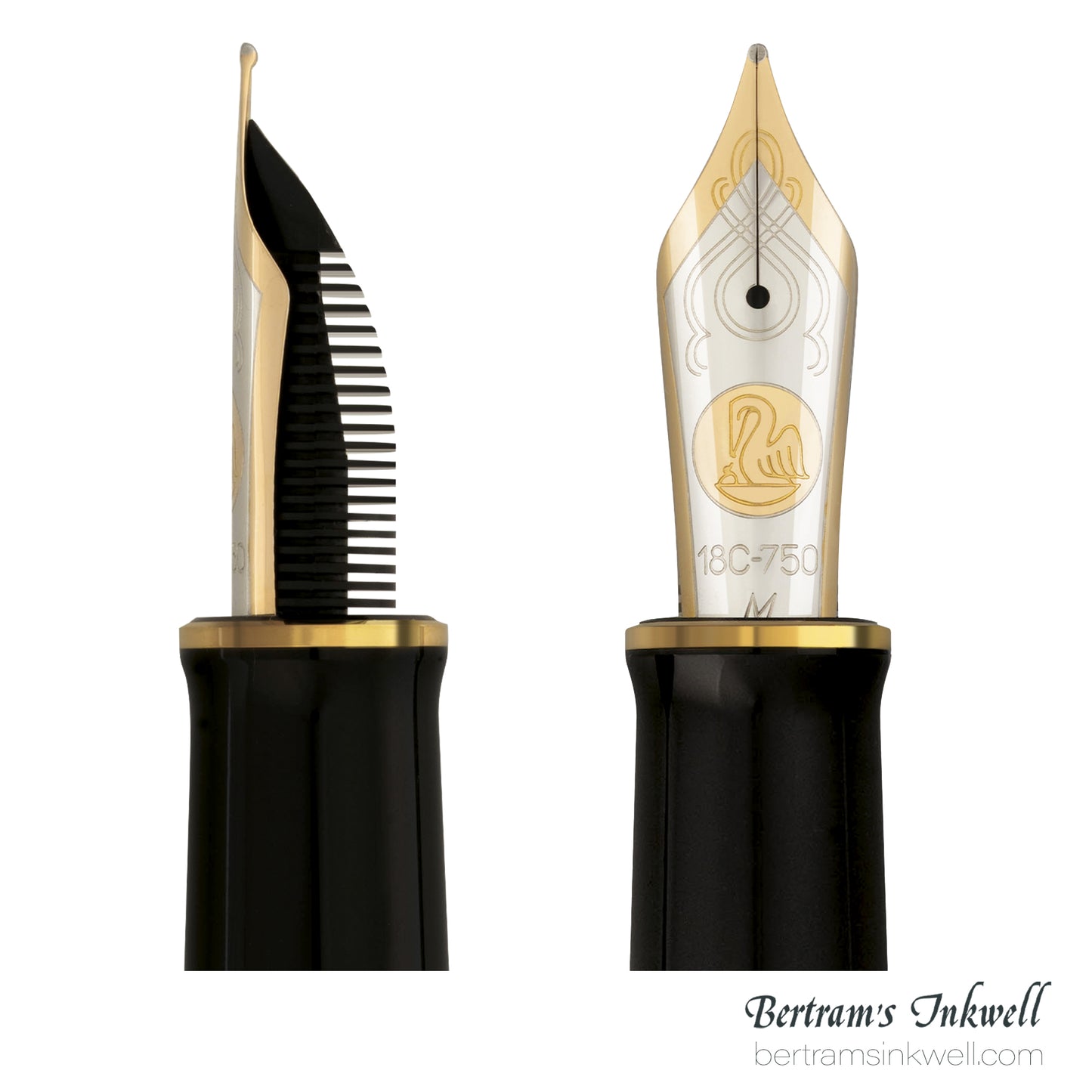 Pelikan Souverän M1000 Raden Stardust "Hoshikuzu" Limited Edition Fountain pen