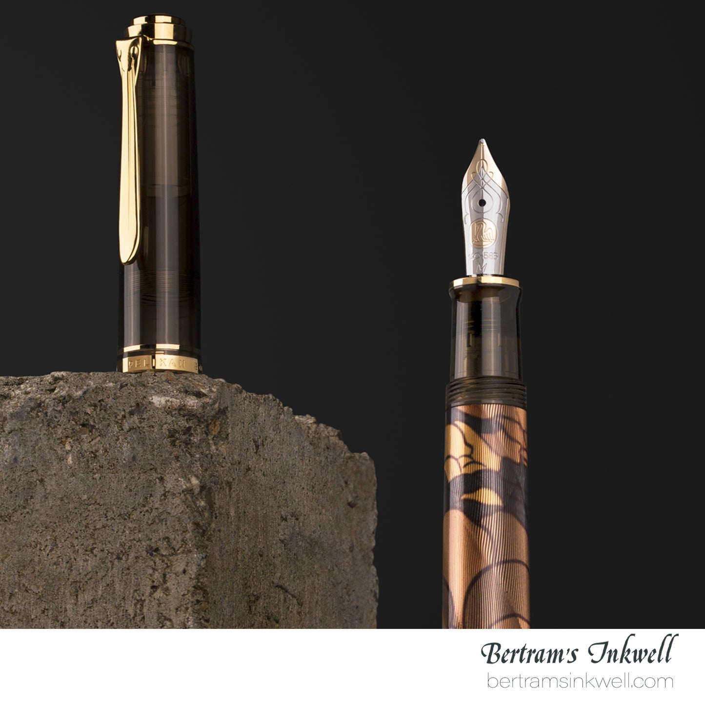 Pelikan Souverän M600 Art Collection Georg Tippel Special Edition Fountain Pen