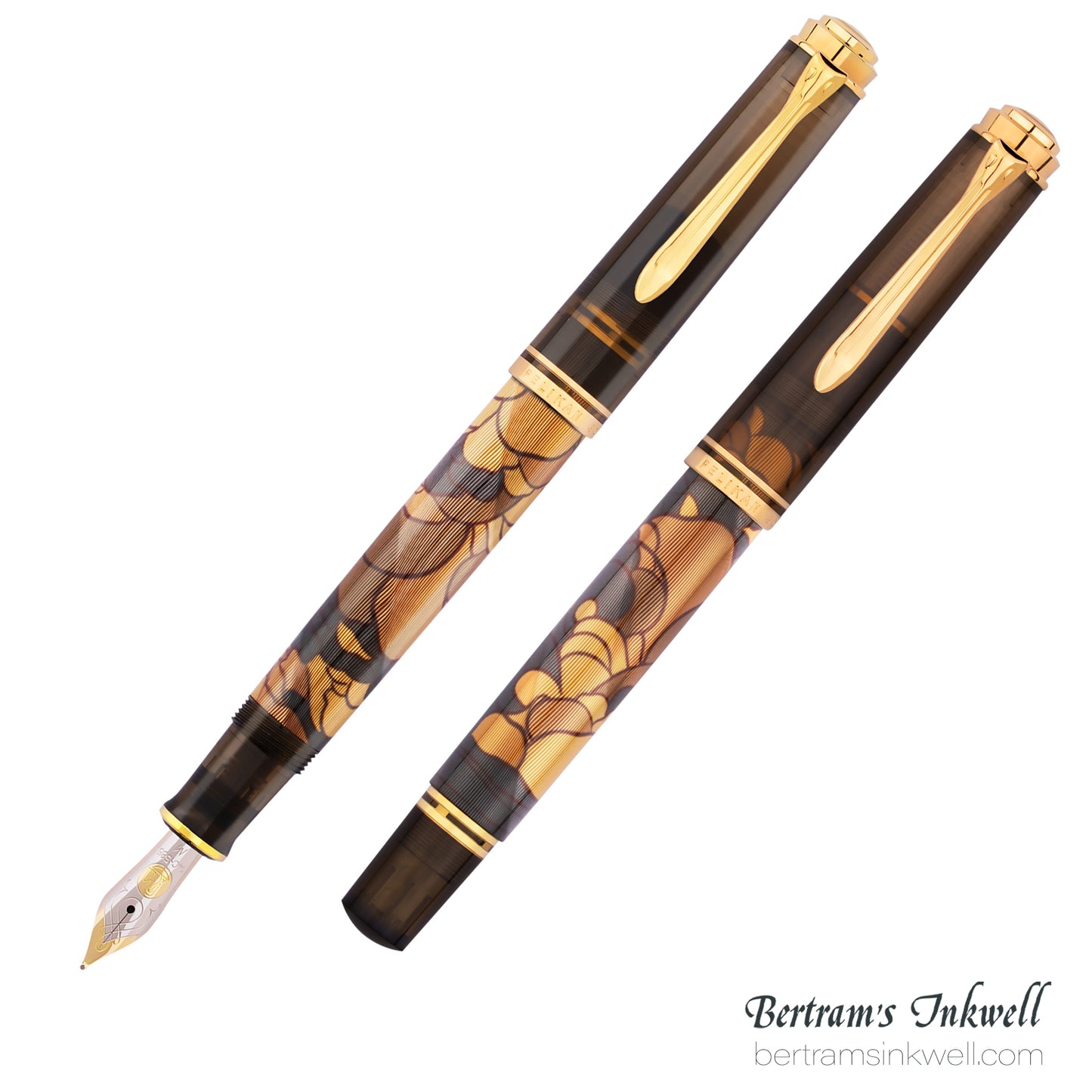 Pelikan Souverän M600 Art Collection Georg Tippel Special Edition Fountain Pen