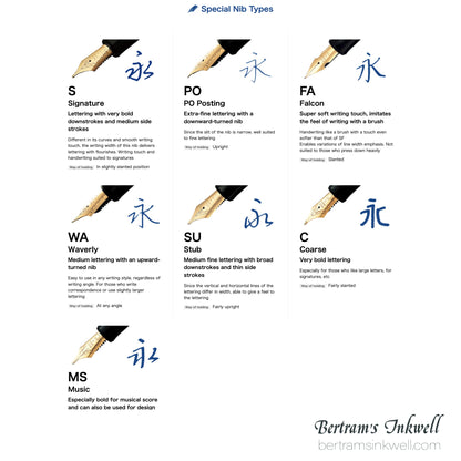 Pilot Custom Heritage SE Marble Green with Silver Trim Fountain Pen