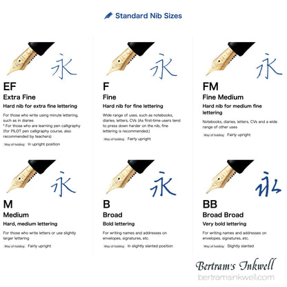 Pilot Custom Heritage SE Marble Green with Silver Trim Fountain Pen