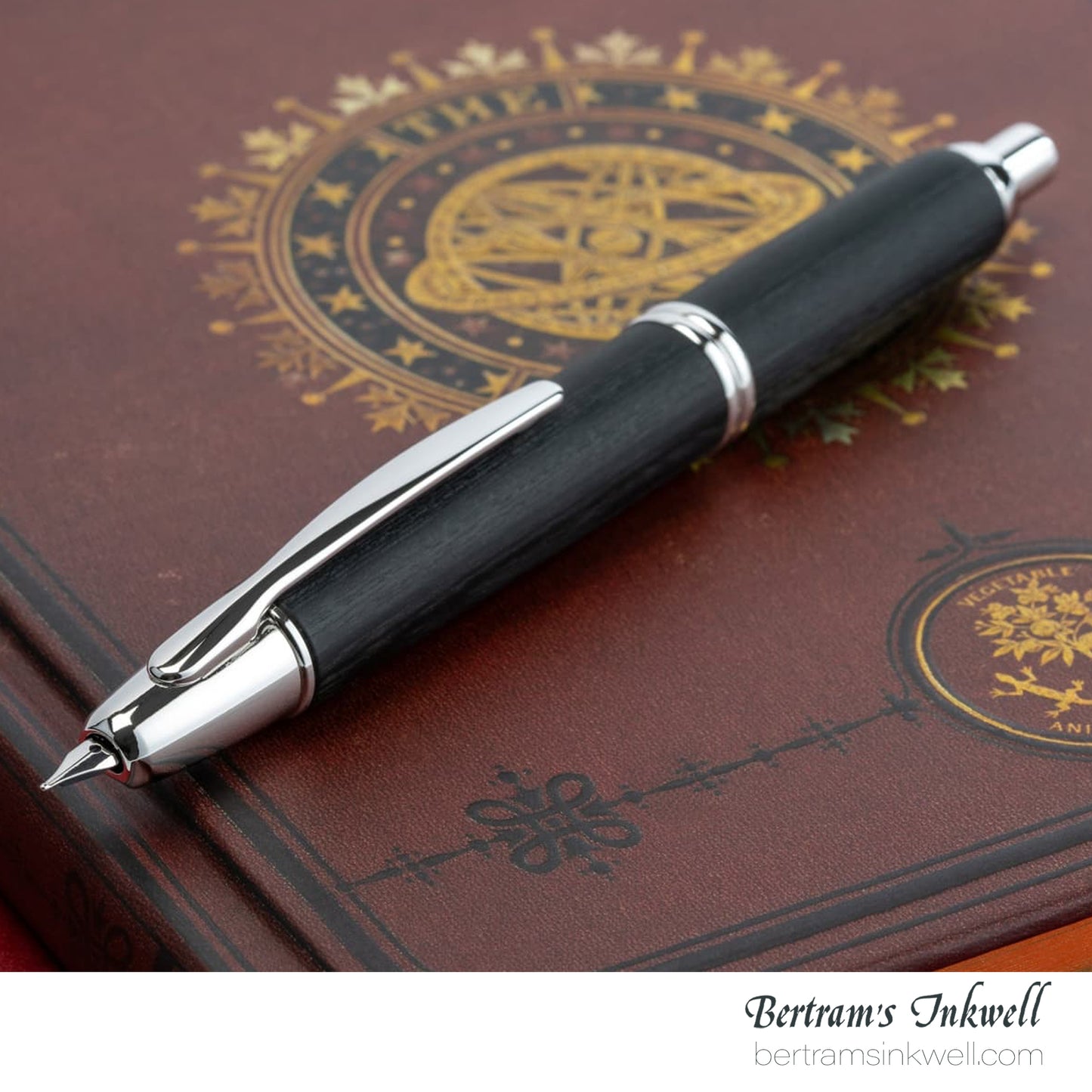 Pilot Vanishing Point Birchwood Black Fountain Pen