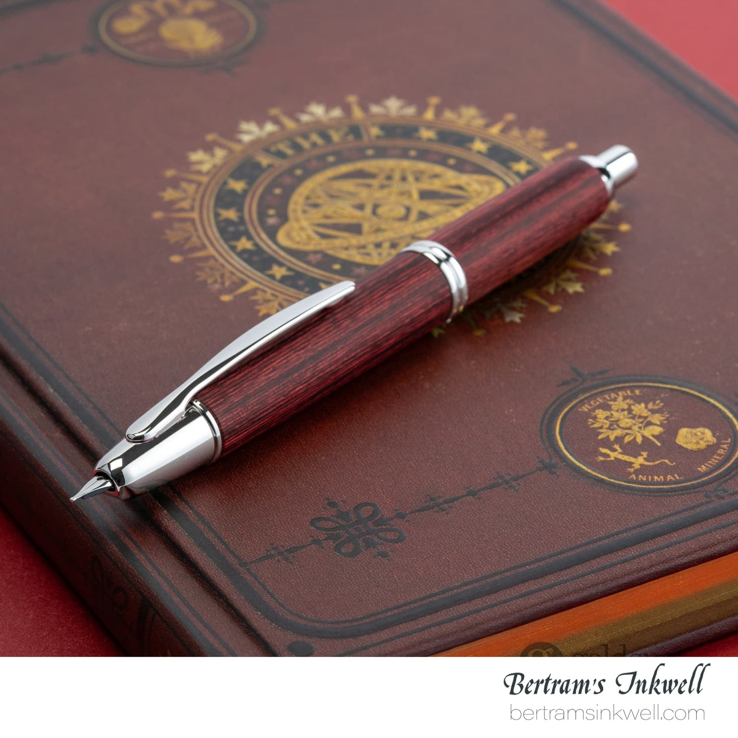 Pilot Vanishing Point Birchwood Red Fountain Pen