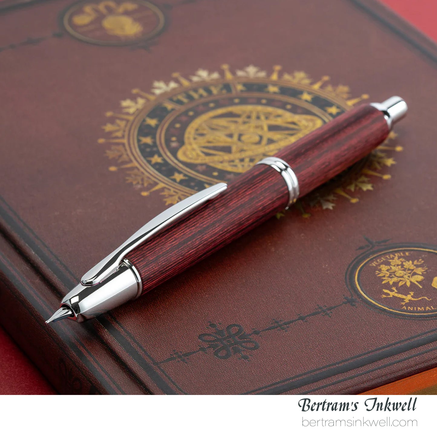 Pilot Vanishing Point Red Birchwood Fountain Pen