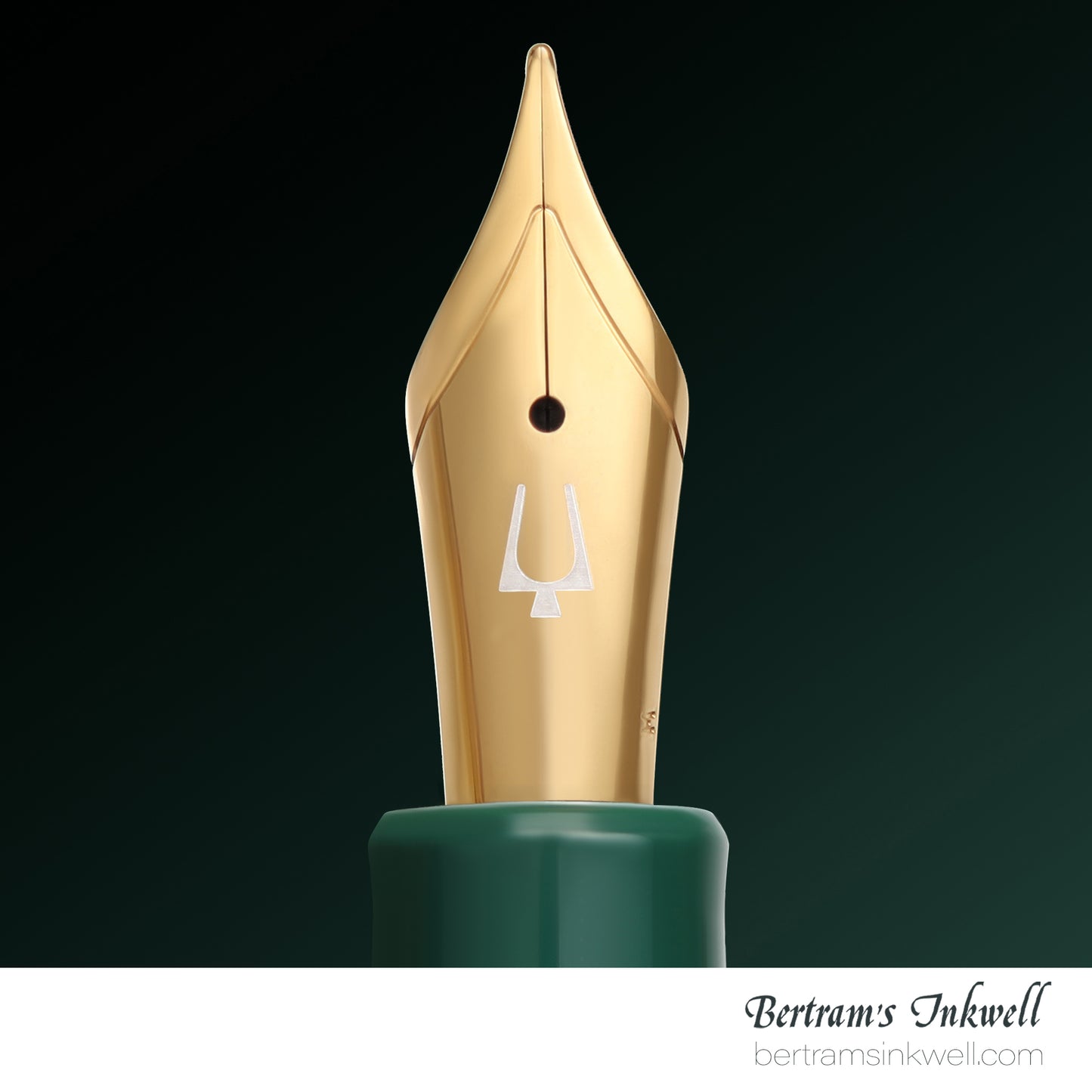 Esterbrook x Accutron Spaceview Estie Fountain Pen