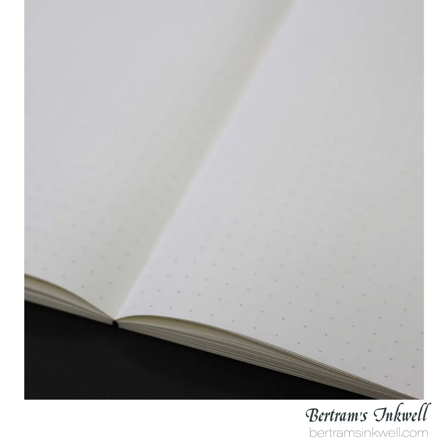 Tomoe River [Sanzen Paper] A5 Softcover Notebook - Dot Grid (52 gsm)