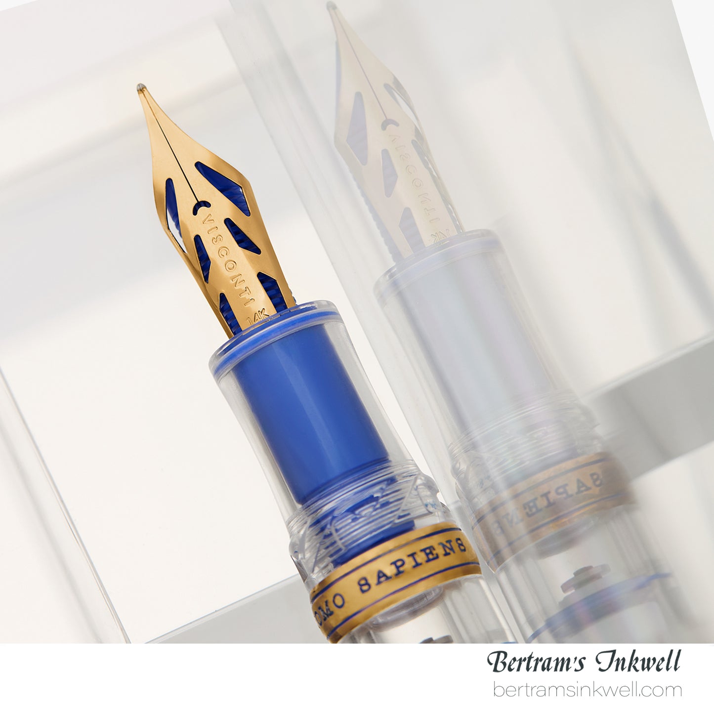 Visconti Homo Sapiens Full Demo Oversize Limited Edition Fountain Pen