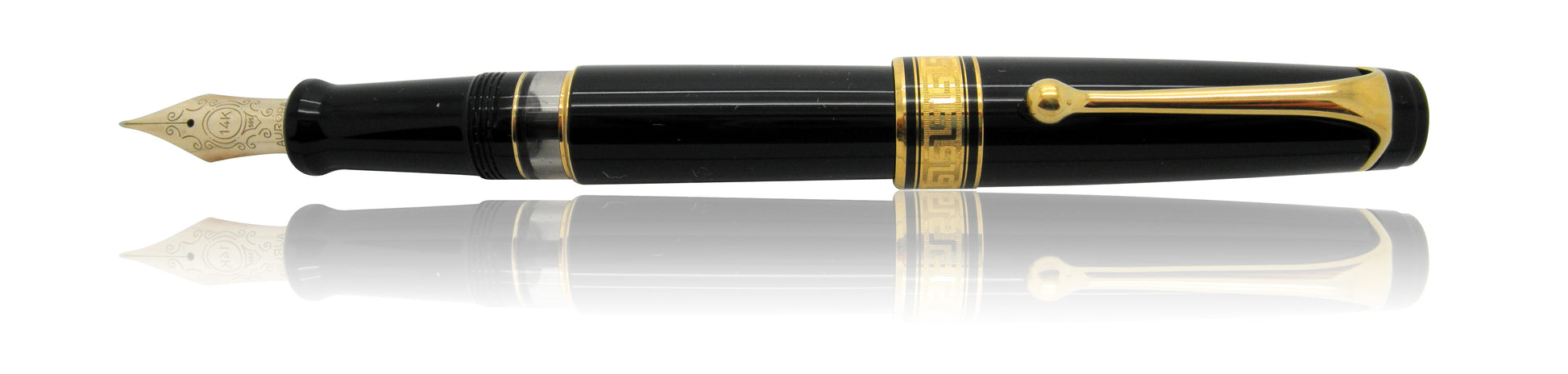 Delta Isaac Newton Limited Edition Fountain Pen 