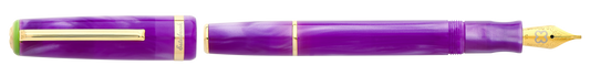 Esterbrook JR Paradise Purple Passion Fountain Pen