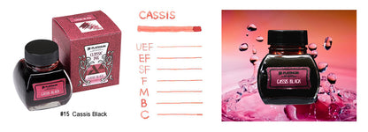 Platinum Premium Bottled Ink Cassis Black