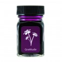 Monteverde Emotions Bottled Ink Gratitude