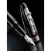 Maiora Hippocratica Fountain Pen